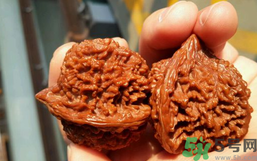 核桃長蟲了還能吃嗎？核桃長蟲子怎么處理？