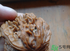 核桃長蟲了還能吃嗎？核桃長蟲子怎么處理？
