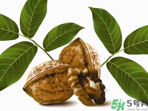 核桃一天吃幾個(gè)合適？核桃一天吃幾個(gè)最好？