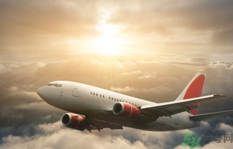 懷孕兩個月可以坐飛機嗎？懷孕兩個月坐飛機注意事項