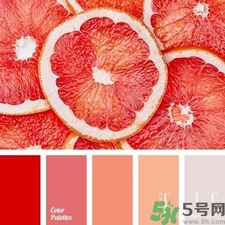 西柚色口紅的牌子哪款好？西柚色口紅有哪些牌子