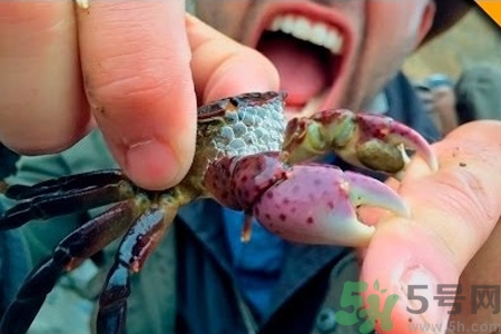 被螃蟹咬了要打破傷風(fēng)針嗎？被螃蟹夾了怎么辦？