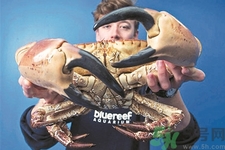 被螃蟹咬了要打破傷風(fēng)針嗎？被螃蟹夾了怎么辦？