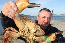 被螃蟹夾出血了怎么辦？螃蟹夾出血了怎么處理？