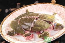 甲魚怎么殺？甲魚怎么處理？