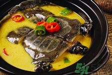 甲魚怎么吃最有營(yíng)養(yǎng)？甲魚怎么吃最補(bǔ)身體？