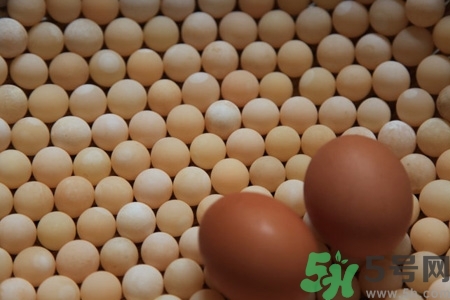 甲魚(yú)蛋多少錢一斤？甲魚(yú)蛋多少錢一個(gè)？