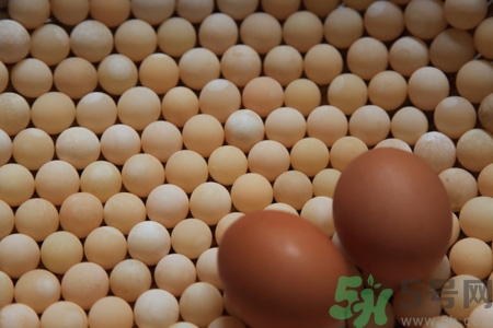 甲魚蛋一天吃幾個(gè)最好？甲魚蛋需要煮多久？