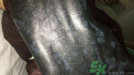 皮衣上的霉點(diǎn)怎么去除?皮衣發(fā)霉怎么處理?