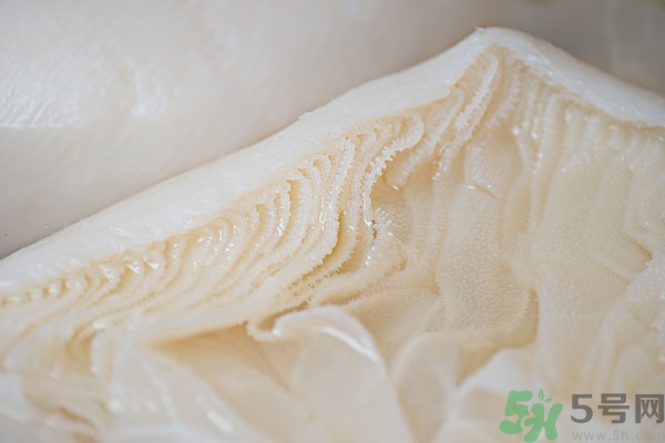 牛百葉的營養(yǎng)價(jià)值 牛百葉的功效與作用