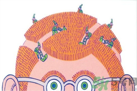 吃什么掉掉頭發(fā)？掉頭發(fā)吃什么好？