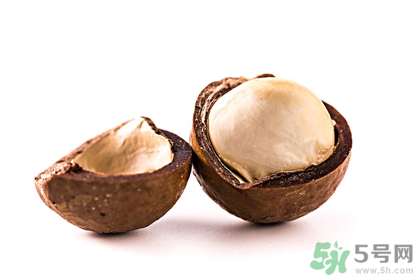 碧根果和夏威夷果哪個(gè)好?碧根果和夏威夷果有什么區(qū)別 碧根果和夏威夷果哪個(gè)好?碧根果和夏威夷果有什么區(qū)別