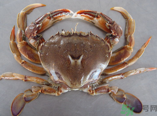 螃蟹和鮮棗能一起吃嗎？螃蟹和大棗能一起吃嗎？