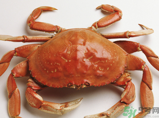 螃蟹和鮮棗能一起吃嗎？螃蟹和大棗能一起吃嗎？