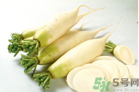 白蘿卜怎么保存？白蘿卜能放多久不壞？