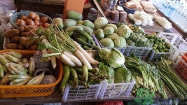 白蘿卜切開(kāi)里面發(fā)藍(lán)是怎么回事?白蘿卜切開(kāi)里面發(fā)藍(lán)可以吃嗎