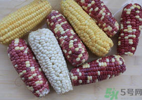 彩色玉米是轉(zhuǎn)基因嗎？彩色玉米能吃嗎？