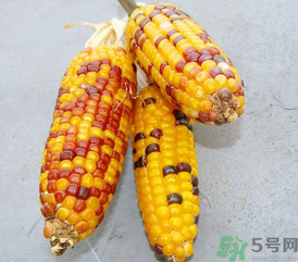 彩色玉米是轉(zhuǎn)基因嗎？彩色玉米能吃嗎？