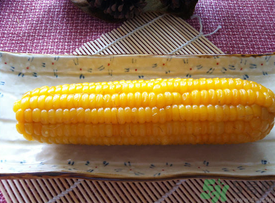 糯玉米煮多久能熟？糯玉米怎樣煮好吃？