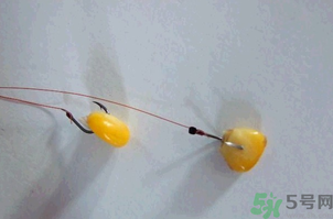 煮熟的玉米能釣魚嗎？煮熟的玉米能直接釣魚嗎？