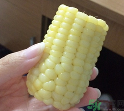 玉米沒(méi)煮熟能吃嗎？沒(méi)煮熟的玉米能吃嗎？