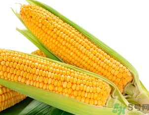 新鮮玉米可以冷凍嗎？新鮮玉米能放冷凍嗎？