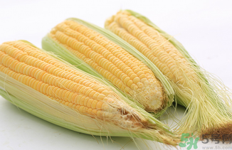 新鮮玉米可以冷凍嗎？新鮮玉米能放冷凍嗎？