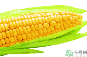 新鮮玉米怎么保存？鮮玉米怎么保存？