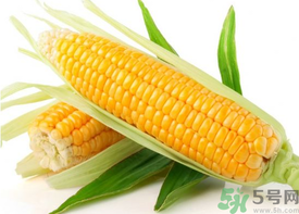 新鮮玉米怎么保存？鮮玉米怎么保存？