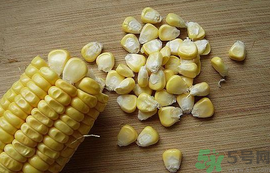 玉米?？梢葬炇裁呆~？玉米粒釣魚方法