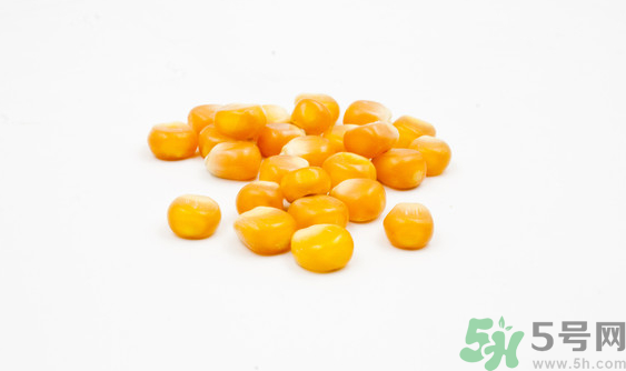 玉米?？梢葬炇裁呆~？玉米粒釣魚方法