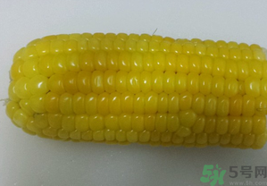 煮熟的玉米能釣魚嗎？煮熟的玉米能直接釣魚嗎？