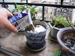 牛奶過期了還能喝嗎？牛奶過期了如何利用？