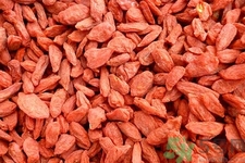 高血壓能吃枸杞嗎？什么人不適合吃枸杞？