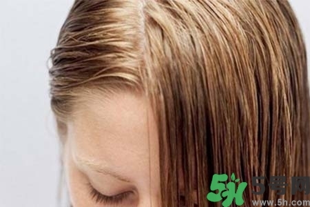 頭發(fā)油膩掉發(fā)怎么辦？頭發(fā)油膩掉發(fā)怎么回事？