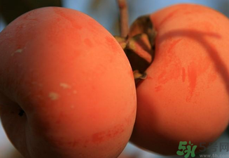 大柿子不能和什么同吃？大柿子和什么食物相克？