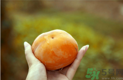 凍柿子和酸奶可以一起吃嗎？?jī)鍪磷雍退崮虝?huì)中毒嗎？