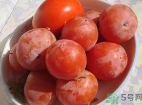 凍柿子和酸奶可以一起吃嗎？?jī)鍪磷雍退崮虝?huì)中毒嗎？