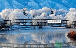 立冬穿什么衣服？立冬穿衣搭配