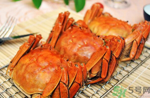 十月份吃公蟹還是母蟹？10月份吃公蟹還是母蟹？