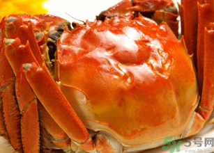十月份吃公蟹還是母蟹？10月份吃公蟹還是母蟹？