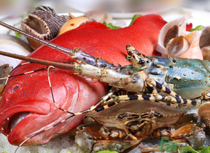 十月份吃什么海鮮？10月份吃什么海鮮？