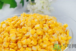 秋天釣魚用什么餌料？秋季釣魚用什么餌料好？