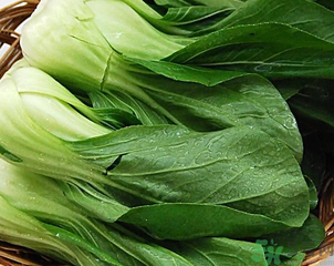 青菜可以放冰箱嗎？青菜能放冰箱保鮮嗎？