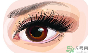 秋天適合割雙眼皮嗎？秋天割雙眼皮好嗎？