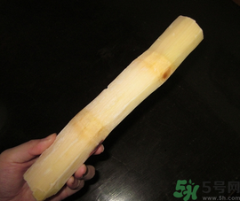 甘蔗可以放冰箱嗎？甘蔗放冰箱能保存多久？