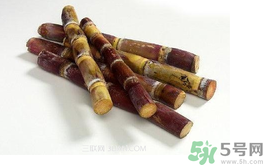 甘蔗可以止咳嗎？甘蔗可以治咳嗽嗎？