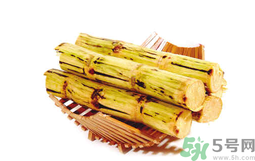 甘蔗可以止咳嗎？甘蔗可以治咳嗽嗎？