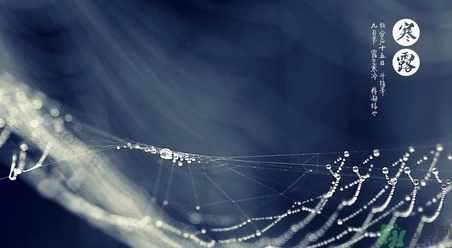 寒露吃什么好？寒露食療