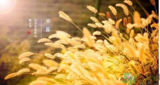 寒露吃什么好？寒露食療